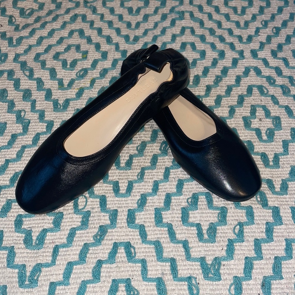 Gorgeous NWOT Everlane Ballet Flats